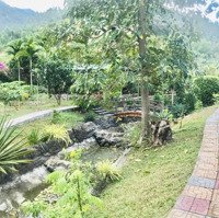 Bán Cắt Lỗ! Căn Nhà Vườn 2 Mặt Tiền Có Suối Ở Giữa Ven Nha Trang Giá Chỉ 1,3 Triệu/M2