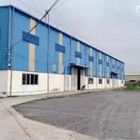 * Cho thuê kho xưởng*2200m2 đường DT824, Lương Hoà, Bến Lức, Long An
