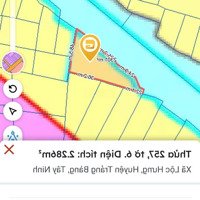 Hàng Hiếm Tại Bán Gấp Gần Đường Hồ Chí Minh, Xã Lộc Hưng, Trảng Bàng, Tây Ninh Giá Bán 1,8 Tỷ, 2000M2