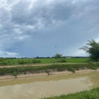 Hàng Hiếm Tại Bán Gấp Gần Đường Hồ Chí Minh, Xã Lộc Hưng, Trảng Bàng, Tây Ninh Giá Bán 1,8 Tỷ, 2000M2