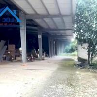 Bán xưởng Thống Nhất Dầu Giây Diện Tích 10.000 m2 chỉ 32 tỷ