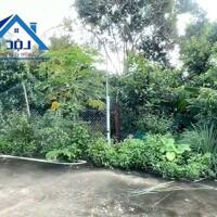 Bán xưởng Thống Nhất Dầu Giây Diện Tích 10.000 m2 chỉ 32 tỷ