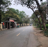 Bán Đất Tdp Tân Phong, Phường Thụy Phương, Quận Bắc Từ Liêmdiện Tích96M2, Liên Hệ: 0986 529 922