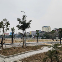 Bán Shophouse Tại Trần Phú, Từ Sơn, Bắc Ninh, Giá Thỏa Thuận, 90 M2, Hot!
