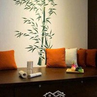 Bán Nhà Riêng Tại Nơ Trang Long, 8,3 Tỷ, 49M2, 2 Phòng Ngủ 4 Vệ Sinh 2 Tầng, Mặt Tiền 6.5M