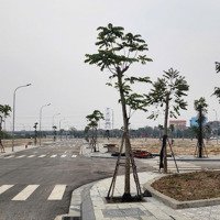 Khang Phát Dianmond Center - Đất Nền Trung Tâm Đình Bảng, Pháp Lý Chuẩn, Sinh Lời Bền Vững