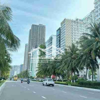Hàng Hiếm Lô Trần Bạch Đằng 315M2 Ngay Phố Tây, Giá Đầu Tư 260 Triệu/M2, Liên Hệ:0905001634