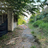 Phú Hữu, Q9 Cũ Gầnmặt Tiền200M Có 143.8M2 Tc Xây Biệt Thự Sân Vườn