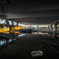 Cho Thuê Ngay 4.000M2 Showroom, Siêu Thị Mới Ở Đường Tố Hữu Giáp Lê Văn Lương