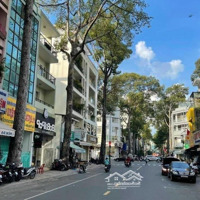 Hàng Hiếm Hẻm Xe Hơi Cáchmặt Tiền30M Đường Trần Bình Trọng Q5,Diện Tích4,7X16,5M, Giá Bán 16,5 Tỷ
