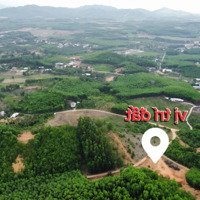 Bán Đất Tại Xã Khánh Đông, Khánh Vĩnh, Khánh Hòa, Giá Cực Chất 350 Triệu, 466 M2 Qh Full Thổ Cư