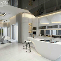 Cho Thuê Nhà Mặt Phố 45 Triệu, 120 M2, Đường Số 53 4 Tầng, Thang Máy, Hồ Bơi, Hầm Rượu