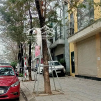 Bán Tòa Nhà Mặt Phố Phạm Văn Đồng 90M, 9 Tầng, Mặt Tiền 5M, Gần Nút Giao Lớn, 48.5 Tỷ
