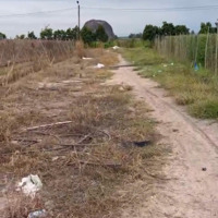 Cần Bán Gấp 20 Ha Đất Đang Làm Trang Trại, Phú Điền, Đồng Nai