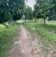 Cần Bán Gấp 20 Ha Đất Đang Làm Trang Trại, Phú Điền, Đồng Nai