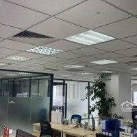 Cho Thuê Văn Phòng Tại Tháp Vạn Phúcdiện Tích320M2, Vị Trí Vô Cùng Đắc Địa