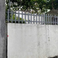 Cần Thanh Khoản Lô Đất 101M2 Tại Nhạc Lộc - Trưng Trắc - Vl- Hy. Giá Hữu Nghị Chỉ 3Xtr/M2