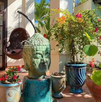 Sở Hữu Căn Biệt Thự View Sông Cẩm An, Gần Biển An Bàng Giá Cực Tốt