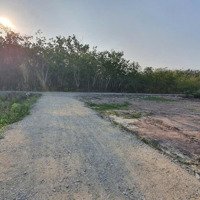 270 Triệu ___Đất Đẹp Rẻ Ngay Gần Chợ Và Trường Học Lộc Ninh -