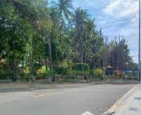 Cho Thuê Đất Tại Đường Nguyễn Đình Chiểu, Phan Thiết, Bình Thuận, 600M2 - 35 Triệu Có Thương Lượng