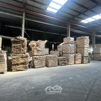 Cho Thuê Nhà Xưởng 16000M2 Giá Chỉ 450 Triệu