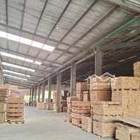 Cho Thuê Nhà Xưởng 16000M2 Giá Chỉ 450 Triệu