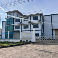 Bán 115M2 Đất Thổ Cư Cạnh Kcn Giang Điền, Gần Sân Bay Quốc Tế Long Thành