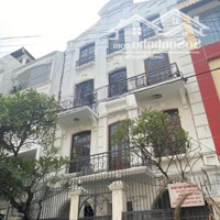 Bán Nhà Mặt Đường Khu Cư Xá Bình Thới ,Q11,Diện Tích13,5X20M, 7 Lầu, Có Hdt 300 Tr, Giá Bán 48 Tỷ