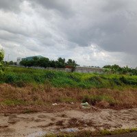 Đất Rẻ Đ. Lộ Cơ Khí, Gần Trường Trung Cấp Bến Tre, X.sơn Đông, Bến Tre,Diện Tích149M2/ 500 Triệu.thổ Cư Shr