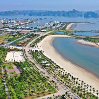 Bán Đất Nền Mặt Biển Hạ Long, Mặt Bãi Biển, Cạnh Bến Du Thuyền Quốc Tế,Diện Tích8432, Giá Bán 62 Tỷ
