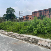 Cơ Hội Mua Đất Giá Công Nhân 100M2, Gần Trường Tiểu Học An Hạ, Phạm Văn Hai, Bình Chánh, Chỉ 8Xx