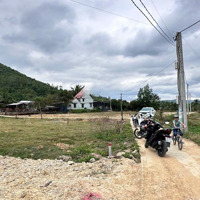 Chỉ 295 Triệu/Lô Đất Full Thổ Cư Ninh Tân, Ninh Hoà. Ngay Trục Đường Dt5. Đầu Tư Sinh Lời Nhanh.