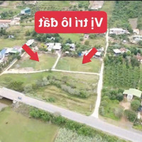 Chỉ 295 Triệu/Lô Đất Full Thổ Cư Ninh Tân, Ninh Hoà. Ngay Trục Đường Dt5. Đầu Tư Sinh Lời Nhanh.
