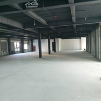 Siêu Hót Cho Thuê 700M2, Mặt Tiền 24M, Võ Chí Công, Cầu Giấy Cực Kỳ Đắc Địa