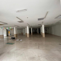 Cho Thuê Shophouse 2500M2, 200 Triệu Tại Số 2 Đường Đại Cồ Việt, Lê Đại Hành, Hai Bà Trưng, Hà Nội