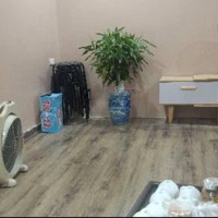 Bán Nhà Hiếm, Gần Cụ Rùa Hồ Gươm