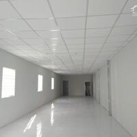 Cho thuê nhà mặt tiền số 28A đường Bùi Thị Trường, phường 5, TP. Cà Mau