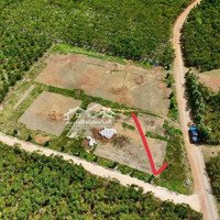 Đất Ngộp Lâm Đồng - Mua 600 Triệu Bán Nhanh 319 Triệu. Bảo Lâm - Lâm Đồng Cách Nút Giao Cao Tốc 20Km