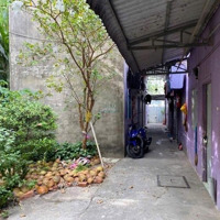Chủ Ngộp Cần Bán Trọ Ở Tân Kiên Bình Chánh Thu Nhập 25 Triệu 1 Tháng