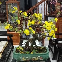 Cần Bánmặt Tiềnđiện Biên Phủ Gần Đoạn Hầm Chui - Diện Tích Cực Rộng 126M2 - Ngang 5M - Kinh Doanh Tốt