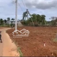 Bán Đất 193M2 Tại Đt 312, Nghĩa Trung, Bù Đăng, Bình Phước, Giá Bán 400 Triệu