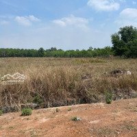 Bán Gấp Đất Nền Mỹ Phước, Bến Cát, 900 Triệu, 500M2 Đầu Tư Xây Trọ Và Kho