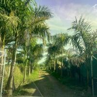 CHÍNH CHỦ CẦN BÁN GẤP LÔ ĐẤT RỘNG ĐẸP VỊ TRÍ ĐẸP TIỀM NĂNG NGAY XÃ HÀM MINH, HÀM THUẬN NAM, BÌNH THUẬN