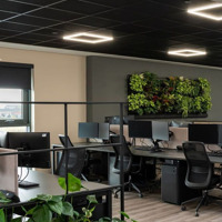 Bán Nhà Mặt Tiền Hòa Bình, P. Tân Thới Hòa, Tân Phú - 22X48M - Hđt: 550 Triệu/Tháng - Giá Bán 130 Tỷ