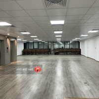 Siêu Phẩm Cho Thuê Nhà Mặt Phố Tô Hiệu, Diện Tích: 300M X 5T,Mặt Tiền15M Nhận Diện Cực Vip, Thông Sàn, Thang Máy