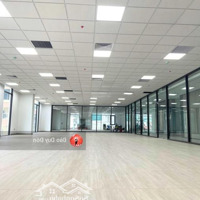 Siêu Phẩm Cho Thuê Nhà Mặt Phố Tô Hiệu, Diện Tích: 300M X 5T,Mặt Tiền15M Nhận Diện Cực Vip, Thông Sàn, Thang Máy