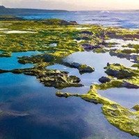 Bán Đất Lớn 12.080 M2, 11 Triệu/M2 Gần Các Khu Du Lich, Resort Lớn