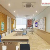 Cho Thuê Nhà Mặt Phố Quán Thánh 100M X 3 Tầng Mặt Tiền 6M Mọi Mô Hình Vị Trí Siêu Đẹp
