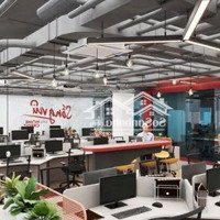 Bán Tòa Nhà Siêu Hiếm Mặt Tiền Phó Cơ Điều, P.12, Quận 5-Hầm+6 Tầng( 10X24M)- Hđt 250 Triệu/Th-58 Tỷ Tl
