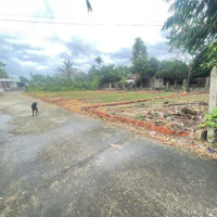Đất Diên Hòa Giá Rẻ Chỉ 579 Triệu. Ngay Khu Dân Cư Và Trung Tâm Hành Chính Huyện